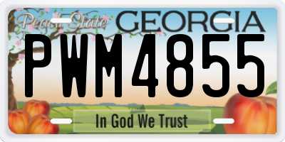 GA license plate PWM4855