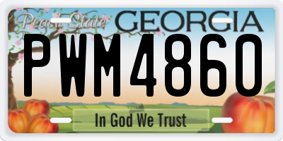 GA license plate PWM4860