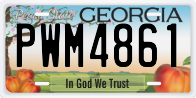 GA license plate PWM4861