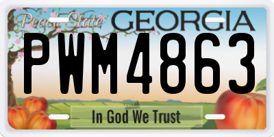 GA license plate PWM4863