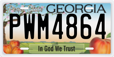 GA license plate PWM4864