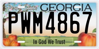 GA license plate PWM4867