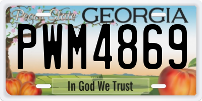 GA license plate PWM4869