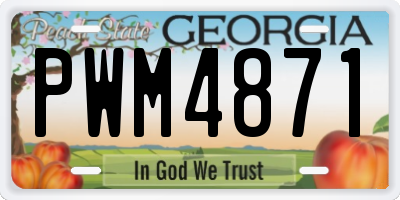 GA license plate PWM4871