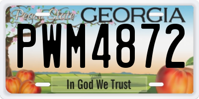 GA license plate PWM4872
