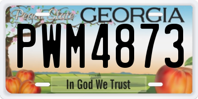 GA license plate PWM4873