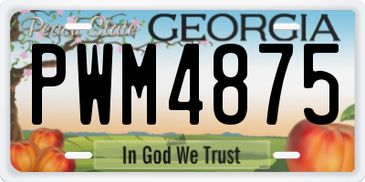 GA license plate PWM4875
