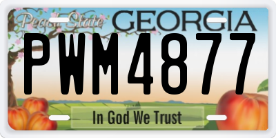 GA license plate PWM4877