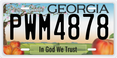 GA license plate PWM4878