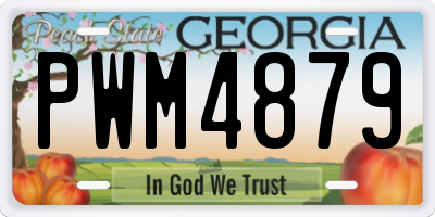 GA license plate PWM4879