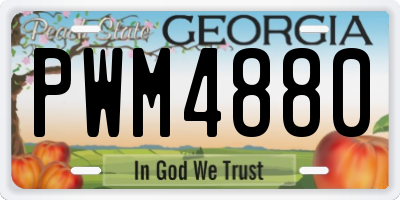GA license plate PWM4880