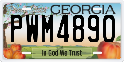 GA license plate PWM4890