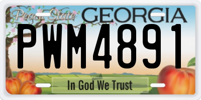 GA license plate PWM4891