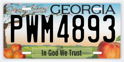 GA license plate PWM4893