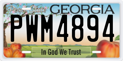 GA license plate PWM4894