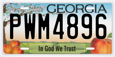 GA license plate PWM4896