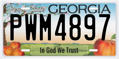 GA license plate PWM4897