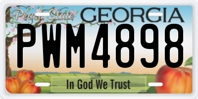 GA license plate PWM4898