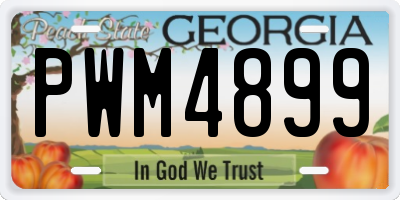 GA license plate PWM4899