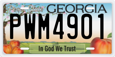 GA license plate PWM4901