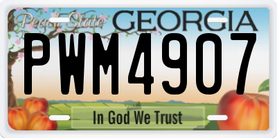 GA license plate PWM4907