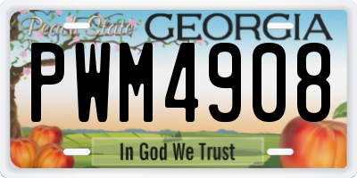 GA license plate PWM4908