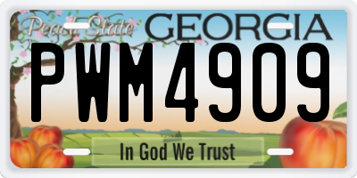 GA license plate PWM4909