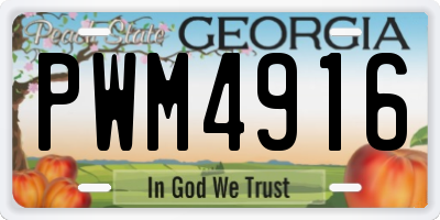 GA license plate PWM4916