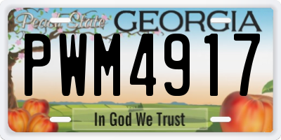 GA license plate PWM4917
