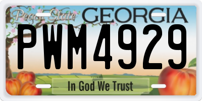 GA license plate PWM4929