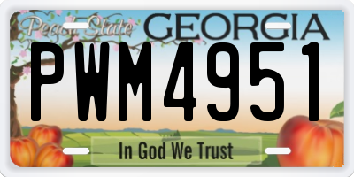 GA license plate PWM4951