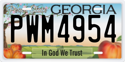 GA license plate PWM4954