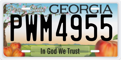 GA license plate PWM4955