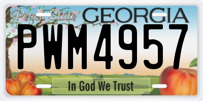 GA license plate PWM4957
