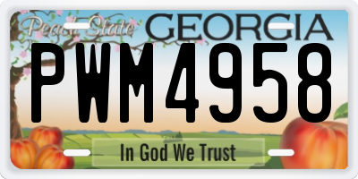 GA license plate PWM4958
