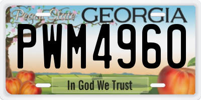 GA license plate PWM4960