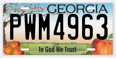 GA license plate PWM4963