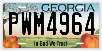 GA license plate PWM4964