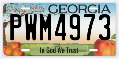 GA license plate PWM4973
