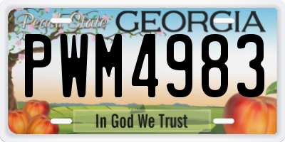 GA license plate PWM4983