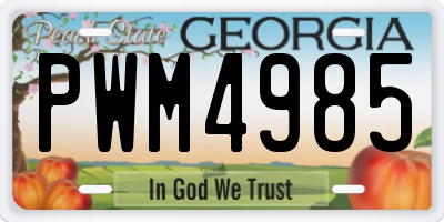 GA license plate PWM4985