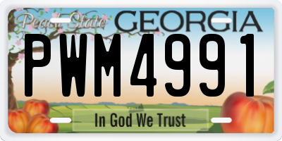 GA license plate PWM4991