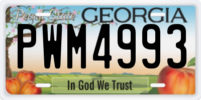 GA license plate PWM4993