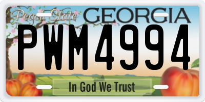 GA license plate PWM4994