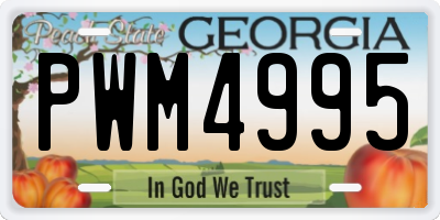 GA license plate PWM4995