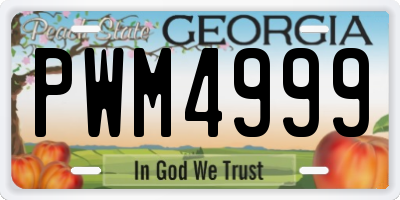 GA license plate PWM4999
