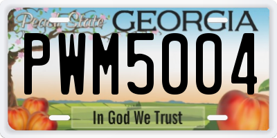 GA license plate PWM5004