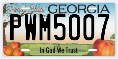 GA license plate PWM5007