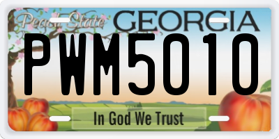 GA license plate PWM5010