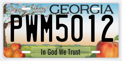 GA license plate PWM5012